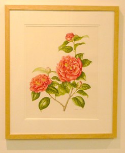 Camellia Japonica by Akiko Enokido, © 2009