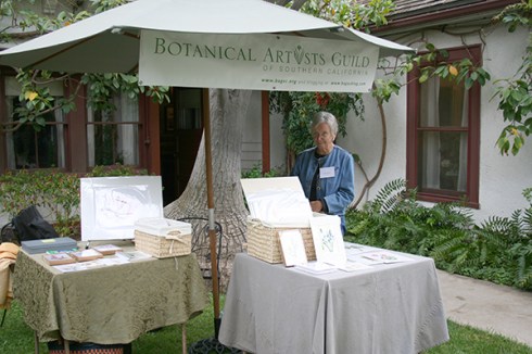 Joan Keesey manning the BAGSC sales table, © DB Shaw 2010