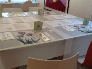 Sally's Studio 1 Sally's Studio