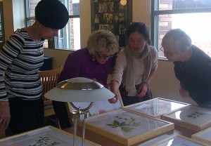 Pausing to admire the beautiful art.