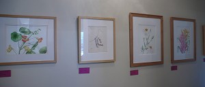 Sue Kuuskmae, Deborah Shaw & Joan Keesey in the Hallway.