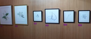 More Action in the Gunroom -- Gilly Shaeffer & Janice Sharp.