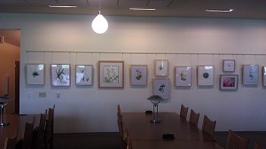 The "Succulent Leaves" Category is up on the wall, waiting for signage and labels.