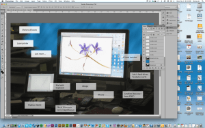 Beginning Photoshop for Botanical Artists (or other artists) at Filoli. Composite image © Deborah Shaw, 2012.