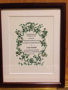 Lesley Randall's ASBA Award for Scientific Botanical Illustration