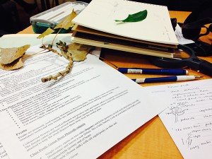 Learning the plant parts. Photo by Gayle Uyehara.