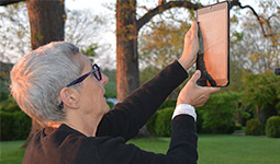 Marion Brenner, landscape photographer, on light and photography in history and in the landscape.