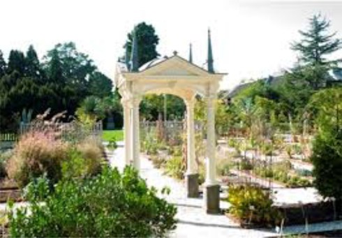 The Hortus botanicus Leiden is a green oasis in the center of Leiden.