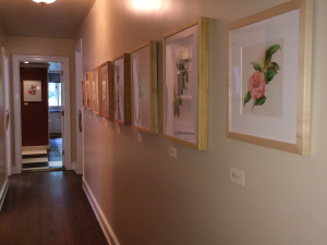 Camellia Botanicals in Descanso’s Boddy House.