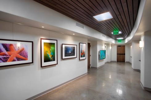 A view of the gallery at the Santa Barbara Zoo where the "Zoo in Bloom" exhibition will hang.