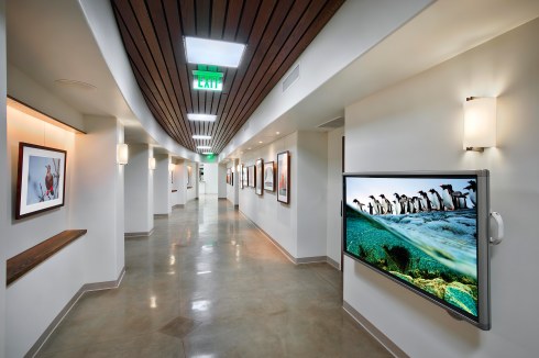 A view of the gallery at the Santa Barbara Zoo where the "Zoo in Bloom" exhibition will hang.