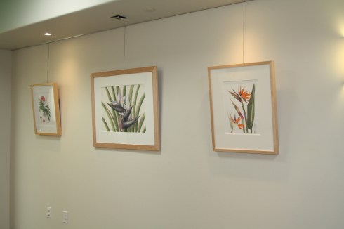 Hanging the "Zoo in Bloom" BAGSC exhibition at the Santa Barbara Zoo. Photo by Lori Vreeke, © 2015, all rights reserved.