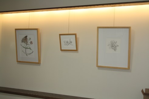 Hanging the "Zoo in Bloom" BAGSC exhibition at the Santa Barbara Zoo. Photo by Lori Vreeke, © 2015, all rights reserved.