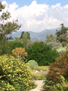 A beautiful day at the Arboretum. Photo by Beth Stone, © 2015, all rights reserved.