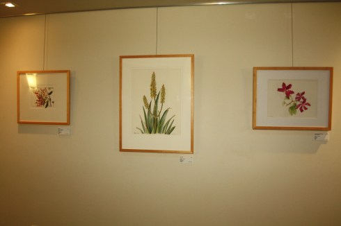 BAGSC "Zoo in Bloom" exhibition in the Discovery Pavilion at the Santa Barbara Zoo. Photo by Lori Vreeke, © 2015.