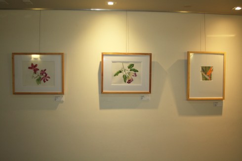 BAGSC "Zoo in Bloom" exhibition in the Discovery Pavilion at the Santa Barbara Zoo. Photo by Lori Vreeke, © 2015.