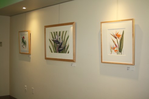 BAGSC "Zoo in Bloom" exhibition in the Discovery Pavilion at the Santa Barbara Zoo. Photo by Lori Vreeke, © 2015.