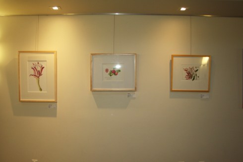 BAGSC "Zoo in Bloom" exhibition in the Discovery Pavilion at the Santa Barbara Zoo. Photo by Lori Vreeke, © 2015.