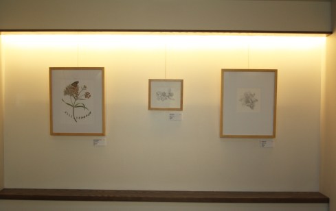 BAGSC "Zoo in Bloom" exhibition in the Discovery Pavilion at the Santa Barbara Zoo. Photo by Lori Vreeke, © 2015.