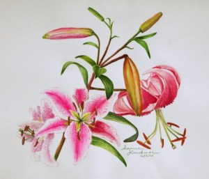Red Lilies, watercolor on paper, © 2015, Suzanne Kuuskmae, all rights reserved. 