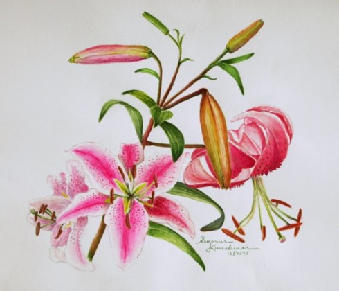 Red Lilies, watercolor on paper, © 2015, Suzanne Kuuskmae, all rights reserved.