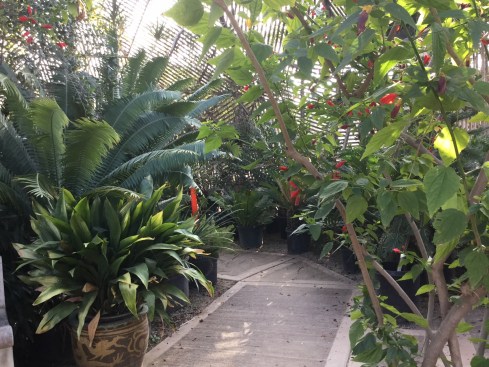 Visit the geodesic dome. UC Riverside Botanic Garden. Photo: Geodesic dome entrance, Tania Marien, © 2016.