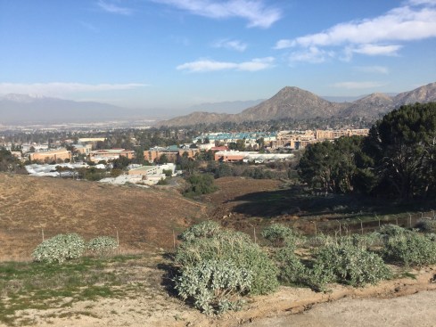 Enjoy expansive views of UCR. UC Riverside Botanic Garden. Photo: Hilltop view of UCR, Tania Marien, © 2016.