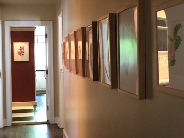 Camellia Exhibit: Photo by Beth Stone © 2015, all rights reserved.