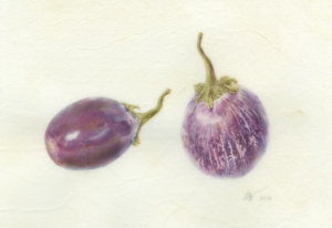 Solanium melongena, Ophelia and Calliope Miniature Eggplants, watercolor on vellum by Deborah Shaw. © 2016, all rights reserved; protected by Digimarc.