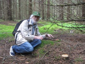 "Forest Bouquet, Russian Choice," watercolor by Alexander Viazmensky, © 2016, all rights reserved.
