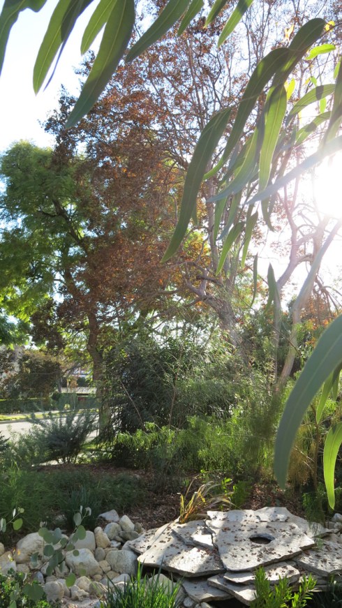 A sound sculpture in the front garden activates with rain. Water is harvested from gutters on the house and garage and pumped into the sculpture before draining through a perforated drainage grid. Photo © 2016, Cordelia Donnelly.