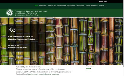 Website for "Ko; An Ethnobotanical Guide to Hawaiian Sugarcane Varieties," by Noa Kekuewa Lincoln, PhD., © 2016, University of Hawai'i, Manoa, all rights reserved.