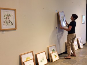 Janice Sharp hanging one of the selected artworks.