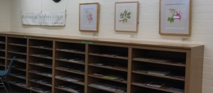 Photo by Janice Sharp, © 2017.