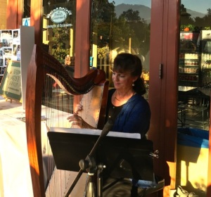 BAGSC member Terri Munroe played beautiful harp music to accompany our dinner on the Peacock Café patio.
