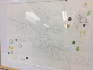 © 2017, Janice Sharp. Photo by Olga Ryabtsova, © 2017.