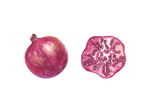 Pomegranate, Irina Stolyarova, © 2017, all rights reserved.