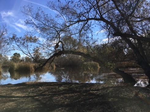 After the presentation, BAGSC members enjoyed a tour of the Marsh. Photo by Jude Wiesenfeld, © 2018.