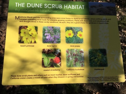 Signage along the Marsh tour. Photo by Jude Wiesenfeld, © 2018.
