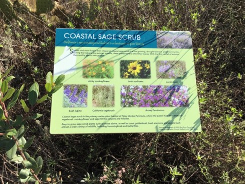 Signage along the Marsh tour. Photo by Jude Wiesenfeld, © 2018.
