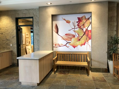 Graphic just outside the Flora-Legium gallery where "Out of the Woods" is on display.