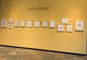 One wall of "Celebrating Silver."