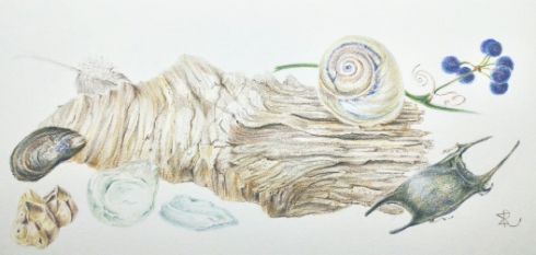 Art Retreat in Cape May, Monica Ray, colored pencil, © 2020 all rights reserved.