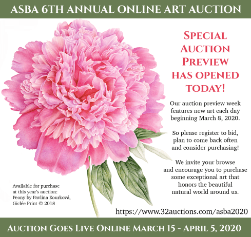 ASBA 6th Annual Online Auction